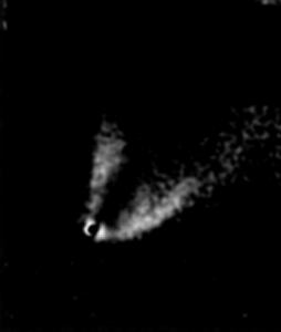 N2261pa.jpg